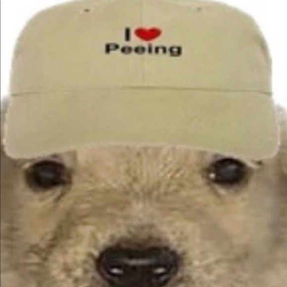 Meet your Posher, Diana - Picture 1 of 1